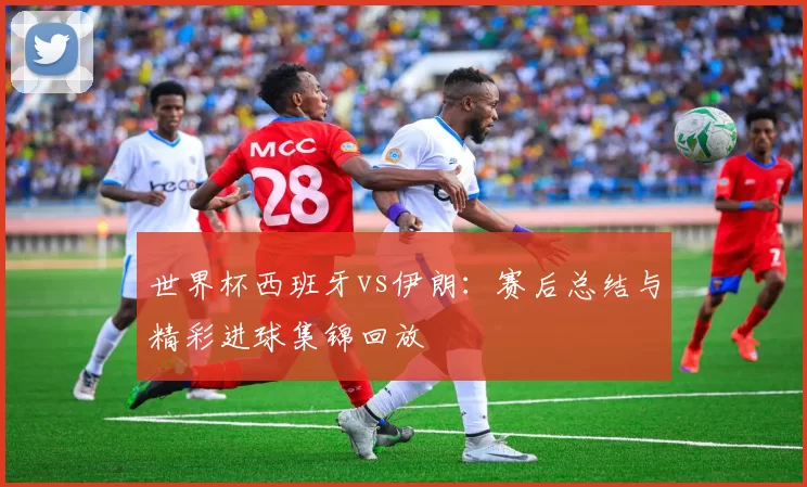 世界杯西班牙vs伊朗:赛后总结与精彩进球集锦回放