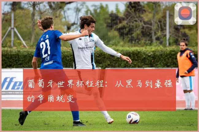 葡萄牙世界杯征程:从黑马到豪强的华丽蜕变