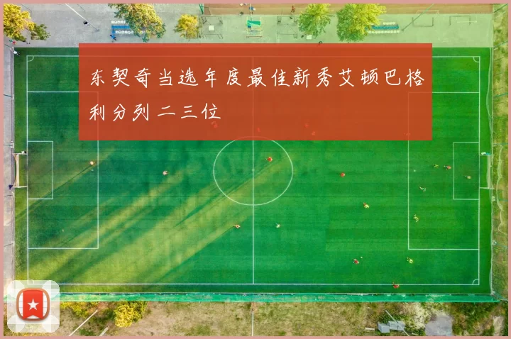 东契奇当选年度最佳新秀艾顿巴格利分列二三位