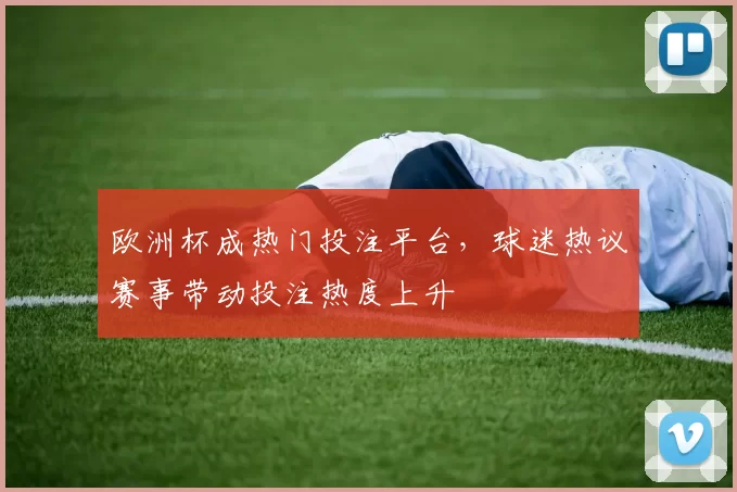 欧洲杯成热门投注平台,球迷热议赛事带动投注热度上升