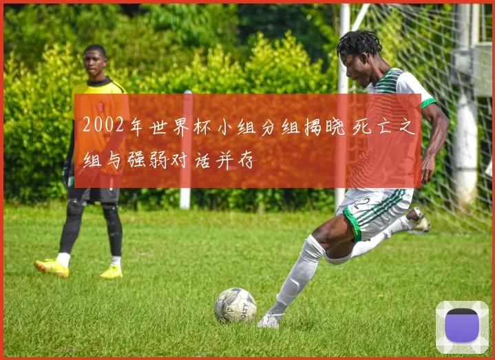 2002年世界杯小组分组揭晓 死亡之组与强弱对话并存