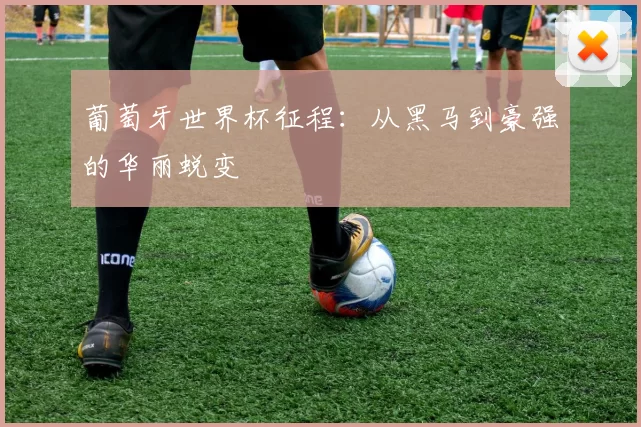 葡萄牙世界杯征程:从黑马到豪强的华丽蜕变