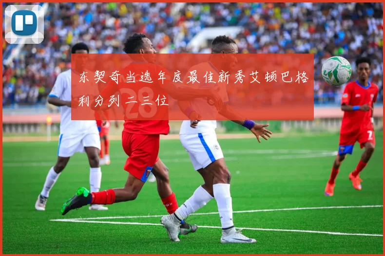 东契奇当选年度最佳新秀艾顿巴格利分列二三位