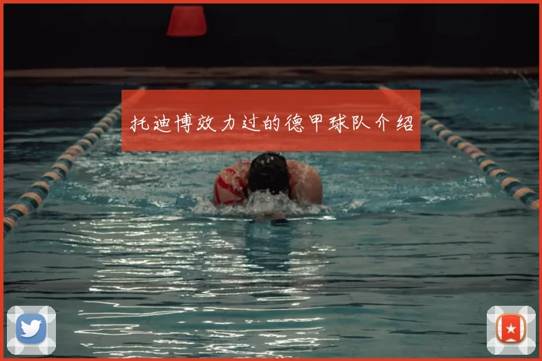 托迪博效力过的德甲球队介绍