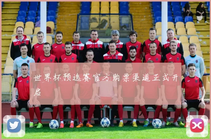 世界杯预选赛官方购票渠道正式开启