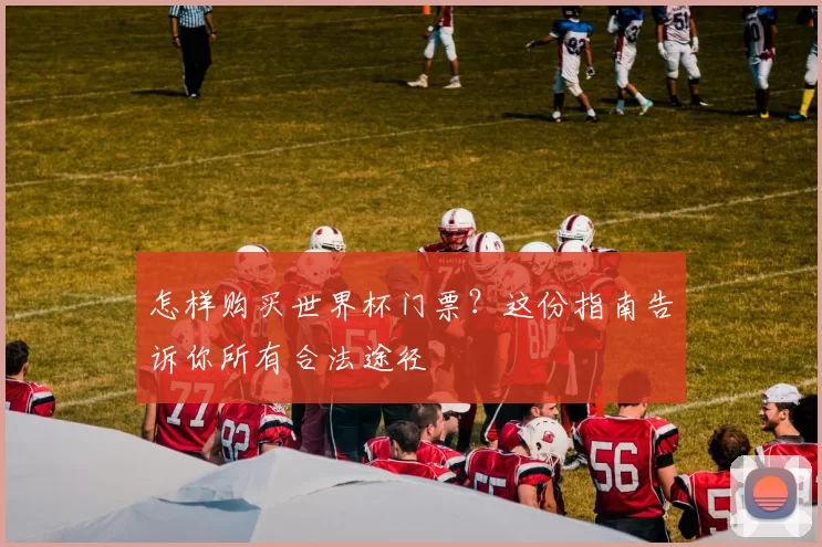 怎样购买世界杯门票?这份指南告诉你所有合法途径