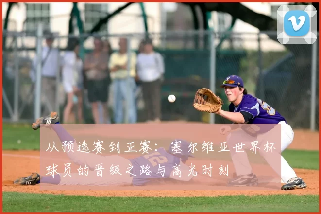 从预选赛到正赛:塞尔维亚世界杯球员的晋级之路与高光时刻